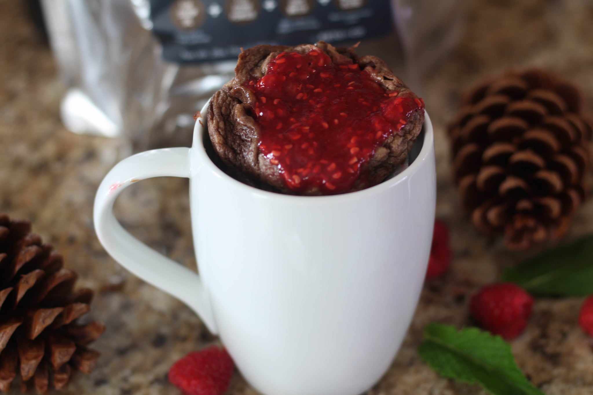 Chocolate Raspberry Mug Cake Sated